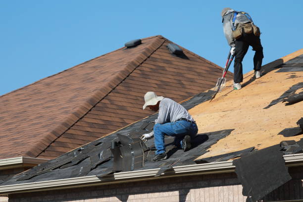 Best Solar Panel Roofing Installation  in Steele Creek, AK