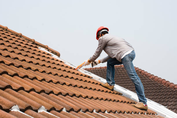 Best Asphalt Shingles Roofing  in Steele Creek, AK