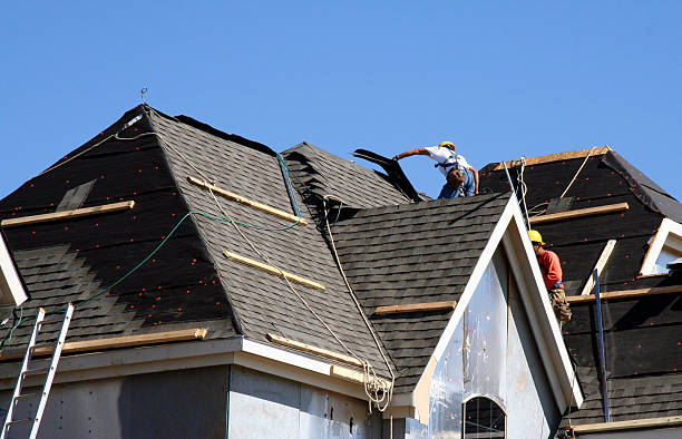 Best Roof Moss and Algae Removal  in Steele Creek, AK