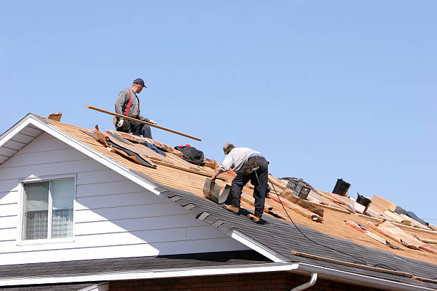 Best Gutter Installation and Repair  in Steele Creek, AK