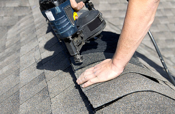 Best Storm Damage Roof Repair  in Steele Creek, AK