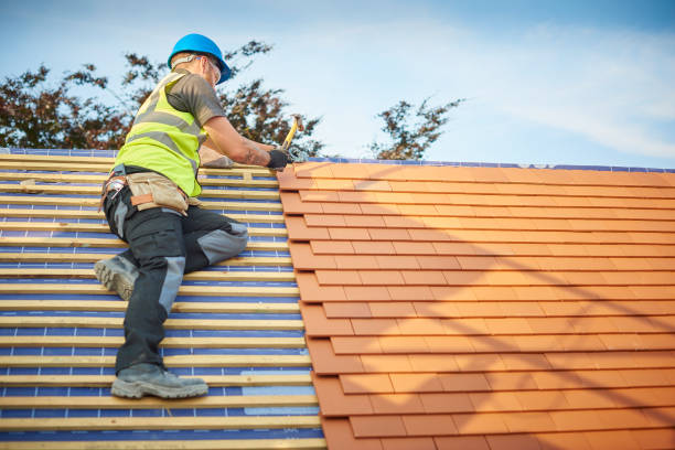 Professional Roofing services in Steele Creek, AK